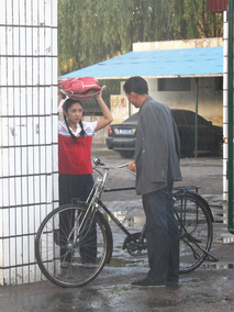 父亲是棵树剧情介绍
