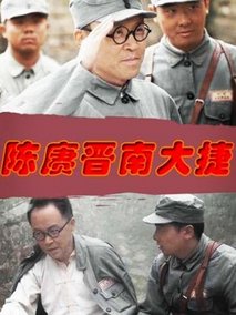 陈赓晋南大捷剧情介绍