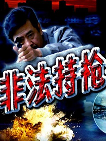 非法持枪者剧情介绍