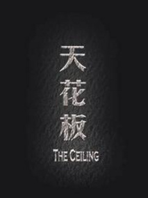 天花板剧情介绍