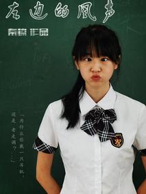 左边的风声剧情介绍