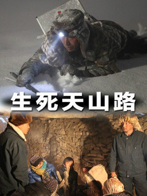 生死天山路剧情介绍