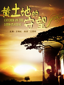 黄土地的守望剧情介绍