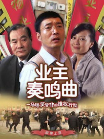业主奏鸣曲剧情介绍