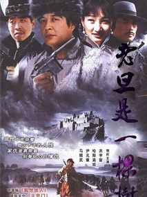 老旦是一棵树剧情介绍