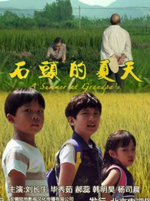 石头的夏天剧情介绍