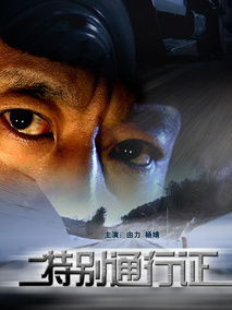 特别通行证剧情介绍