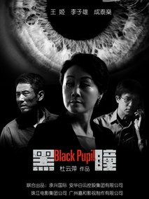 黑瞳剧情介绍