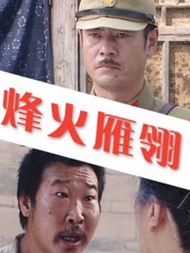 烽火雁翎剧情介绍
