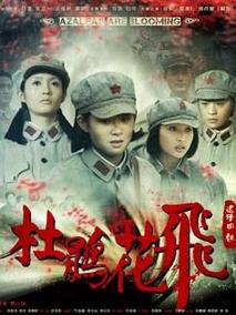 杜鹃花飞剧情介绍