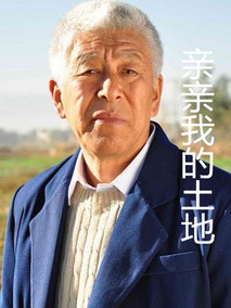 亲亲我的土地