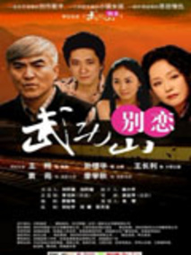 武功山别恋剧情介绍