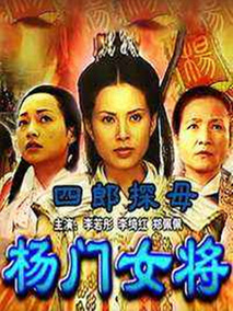 杨门女将之四郎探母