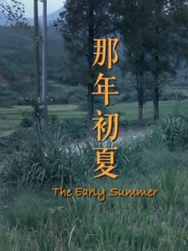 那年初夏剧情介绍
