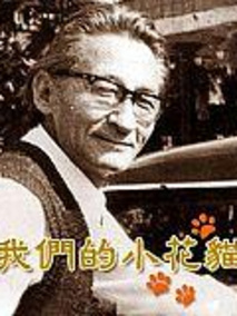 我们的小花猫剧情介绍