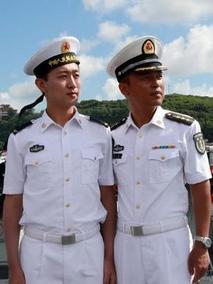 做只海鸥也挺好剧情介绍