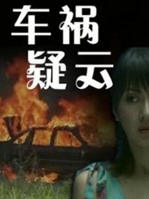 车祸疑云剧情介绍