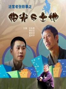 法官老张轶事之阳光与土地剧情介绍
