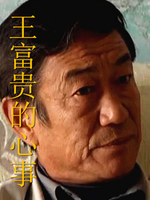 王富贵的心事剧情介绍