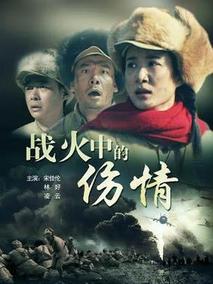 战火中的伤情剧情介绍