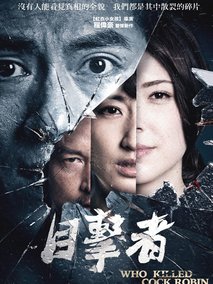 目击者之追凶剧情介绍