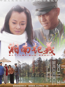 湘南起义剧情介绍