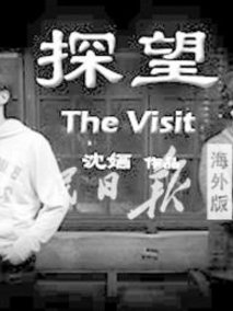 探望剧情介绍
