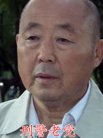 刑警老党剧情介绍