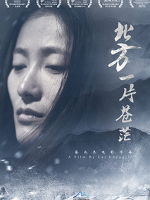北方一片苍茫剧情介绍