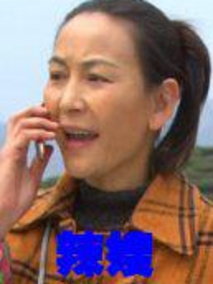 辣嫂剧情介绍