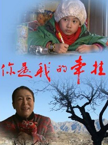 你是我的牵挂剧情介绍