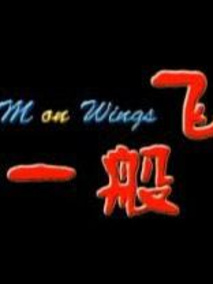 梦一般飞翔剧情介绍