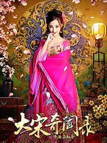 大宋奇闻录