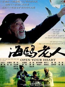 海鸥老人剧情介绍