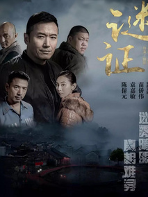 谜证剧情介绍