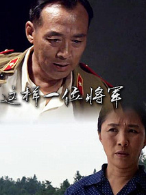 这样一位将军剧情介绍